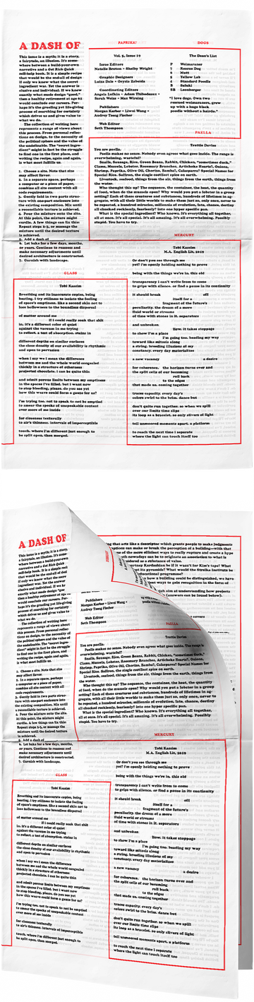 The cover of A Dash of ______