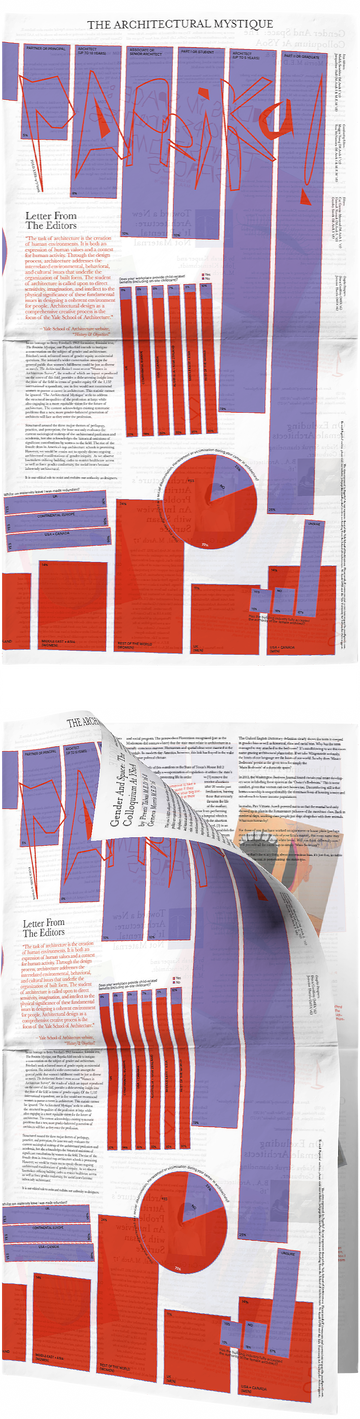 The cover of The Architectural Mystique