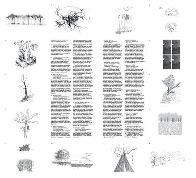 The cover of Trees for the Forest